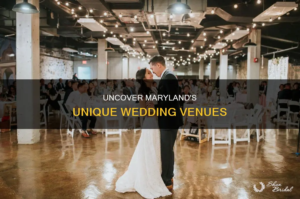 where to look for non traditional wedding venues in md