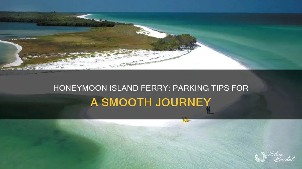 where to park for honeymoon island ferry