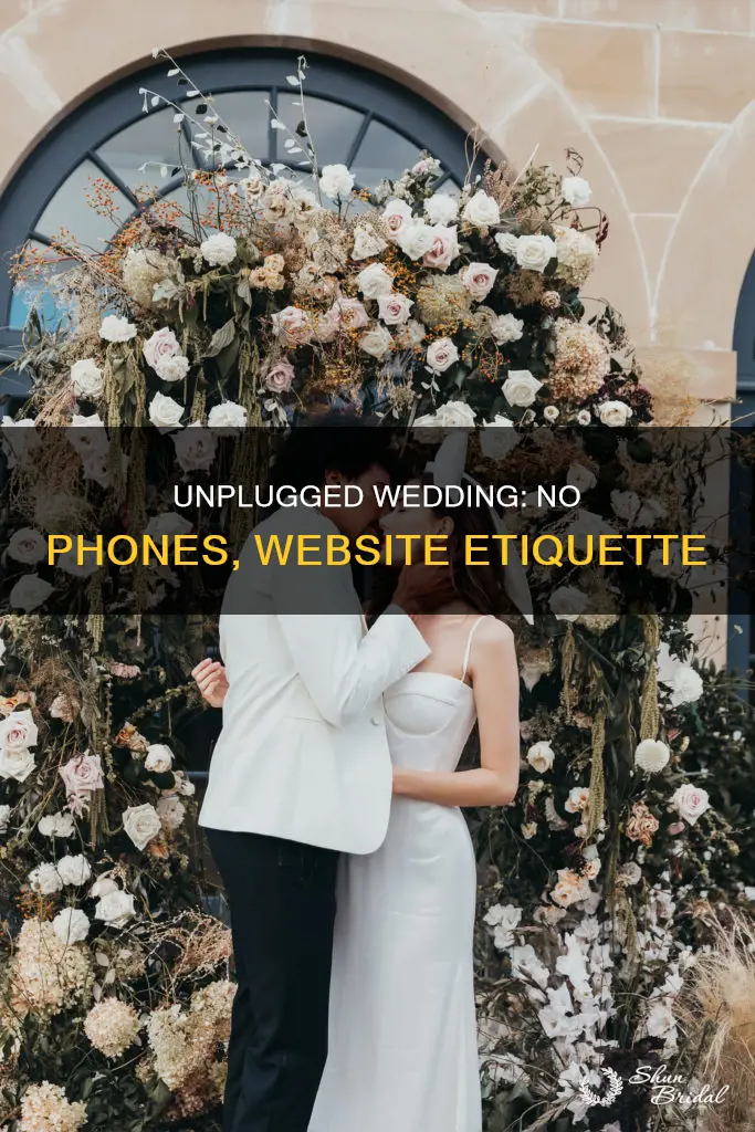 where to put no phones on wedding website
