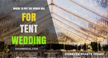 Spider Box Placement for Tent Weddings