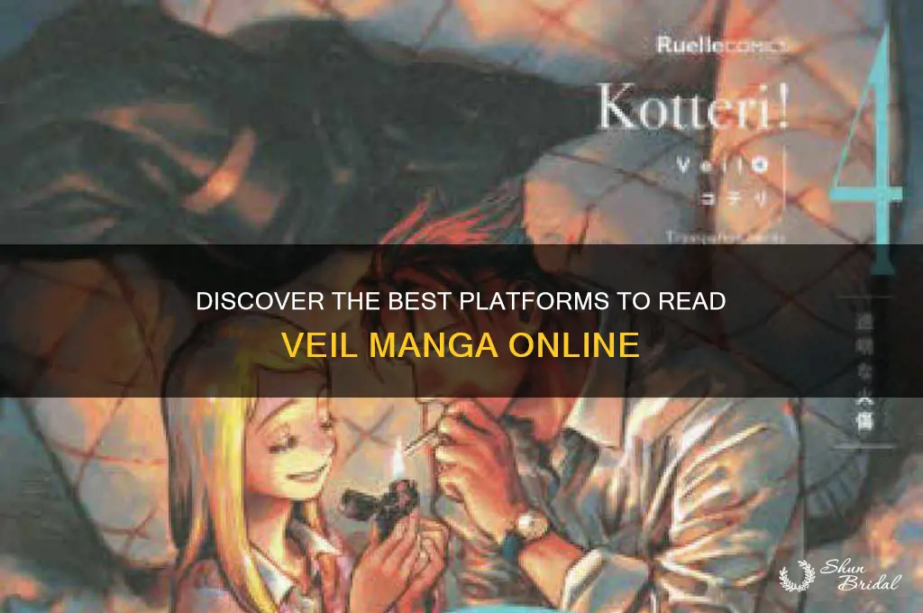 where to read veil manga