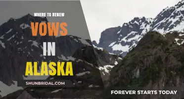 Renew Your Vows in Alaska: Top Romantic Locations to Celebrate Love