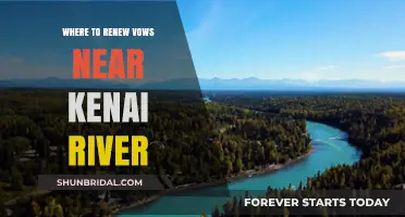 Romantic Vow Renewal Spots Near Kenai River: A Guide