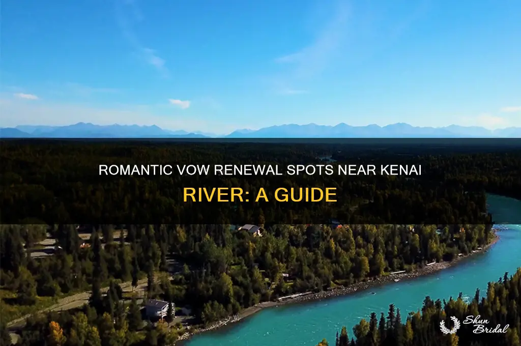where to renew vows near kenai river