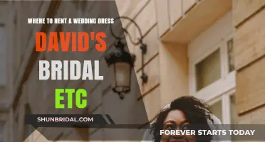 Renting Wedding Dresses: David's Bridal and Other Options