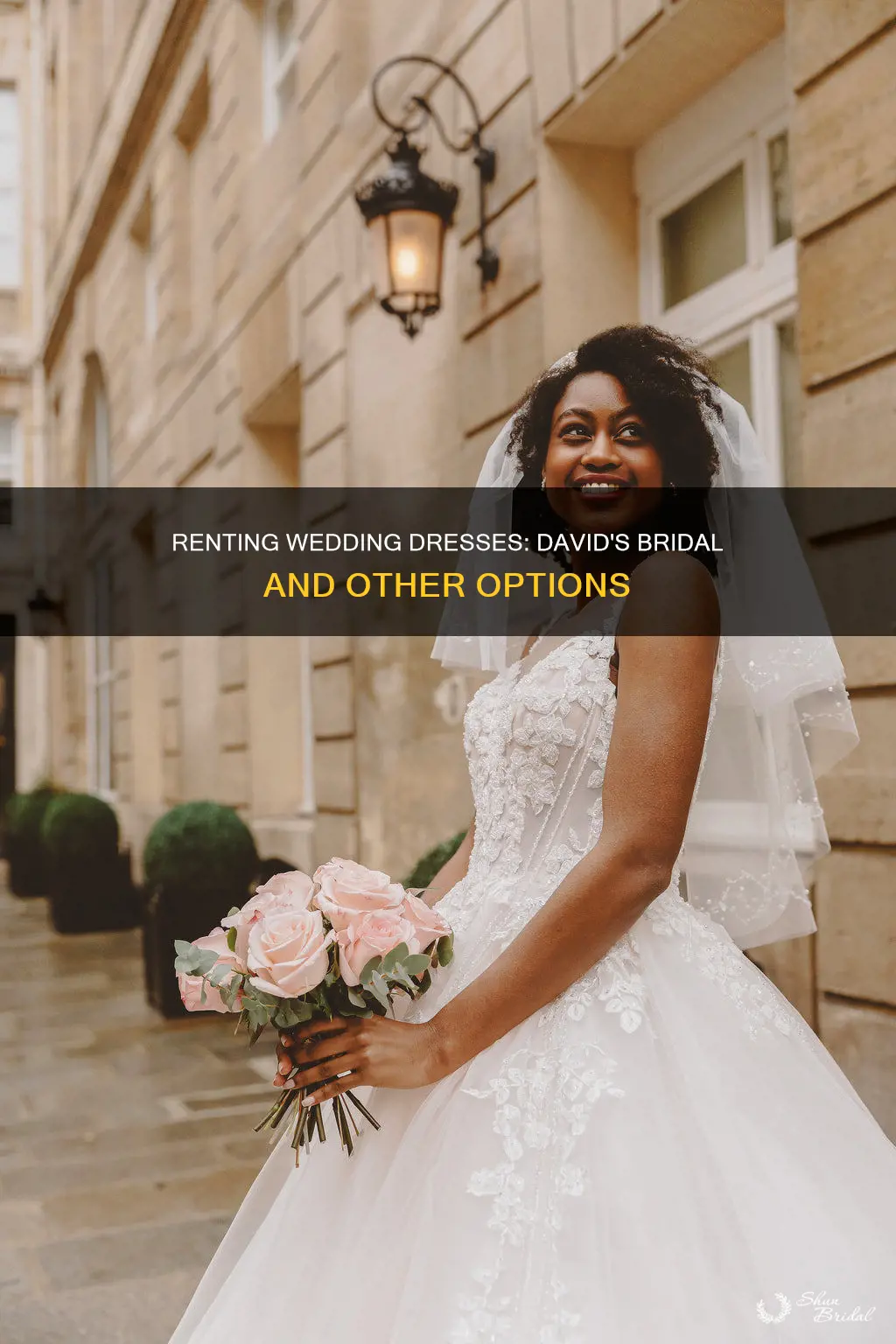 where to rent a wedding dress david