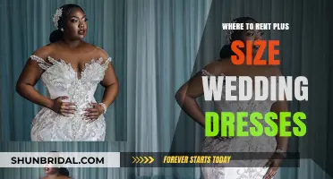 Plus-Size Wedding Dress Rentals: Where to Rent Your Dream Gown