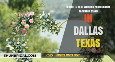 Dallas Backdrop Stands: Where to Rent for Your Wedding