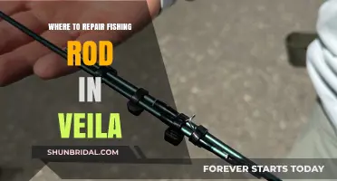Veila's Best Fishing Rod Repair Shops: A Comprehensive Guide