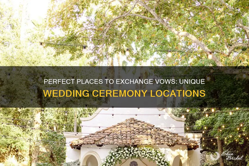 where to say I do in wedding ceremony