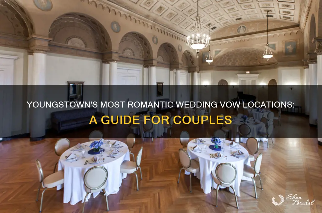 where to say your wedding vows in youngstown ohio
