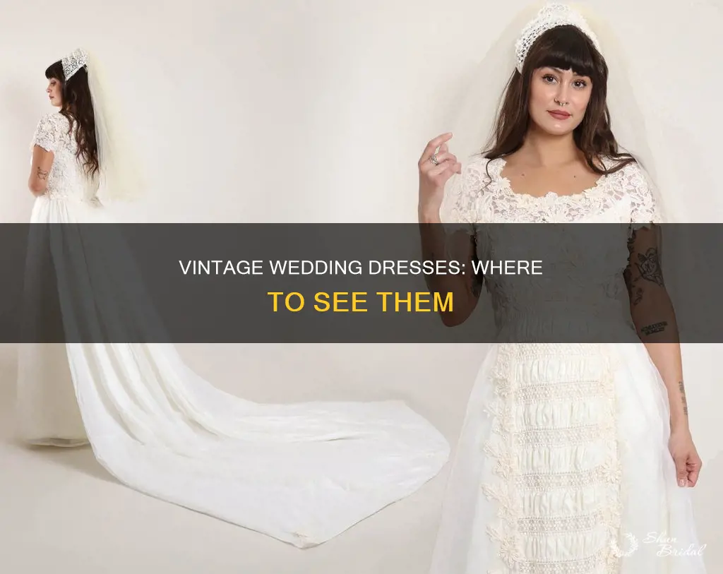 where to see my 1979 wedding dress
