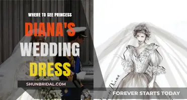 Diana's Wedding Gown: Where to See It