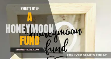 Honeymoon Fund: Top Places to Raise Money for Your Dream Vacation