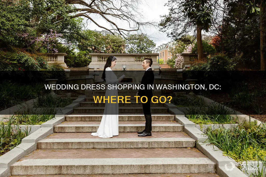 where to shop for wedding dresses in washington dc