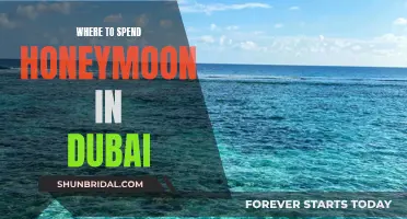 Honeymoon in Dubai: Top Romantic Spots for Newlyweds