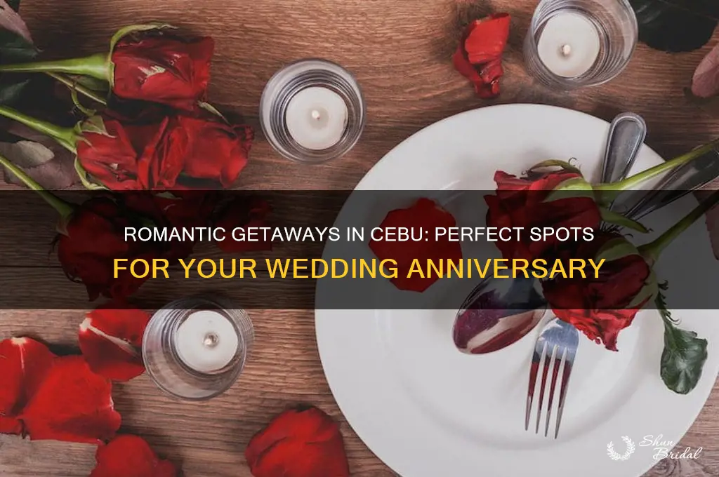 where to spend wedding anniversary in cebu