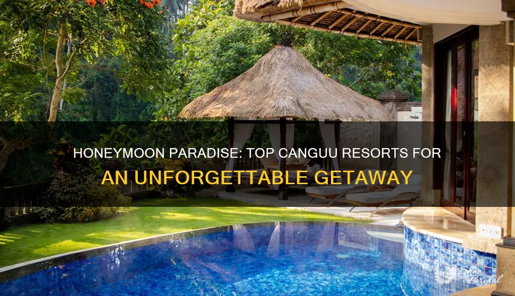 where to stay canguu honeymoon