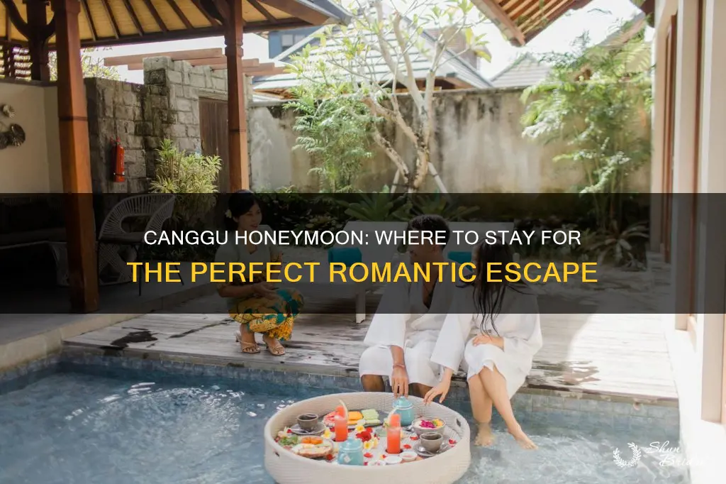 where to stay canguu honeymoon