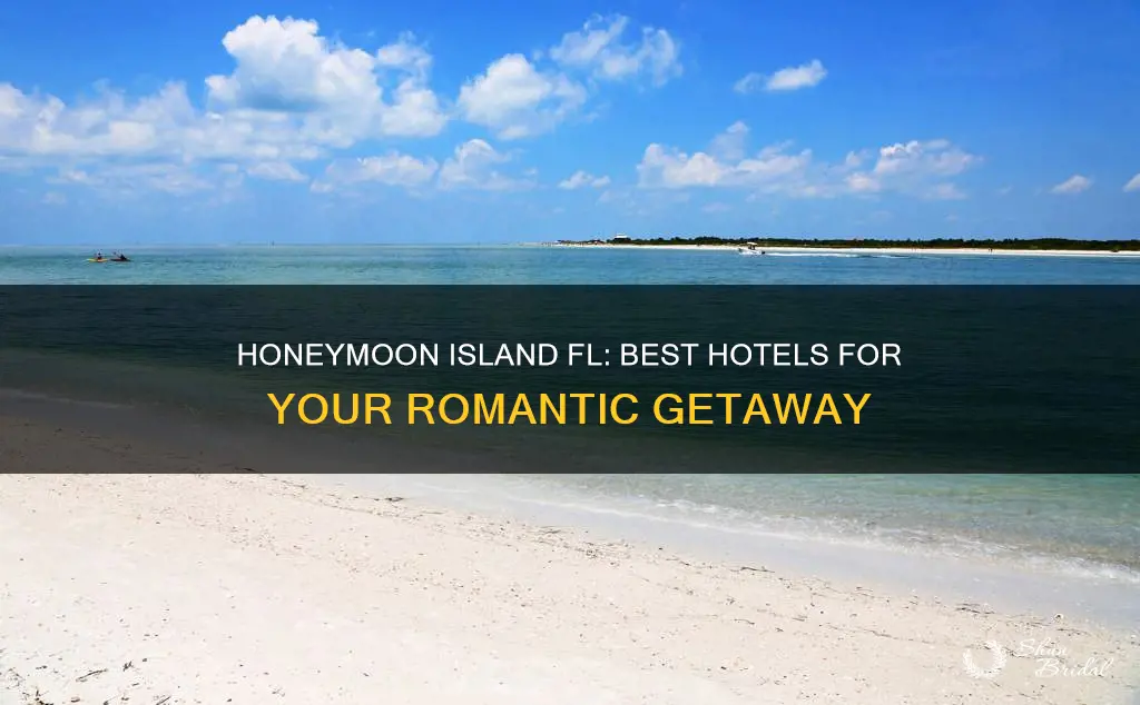 where to stay honeymoon island fl