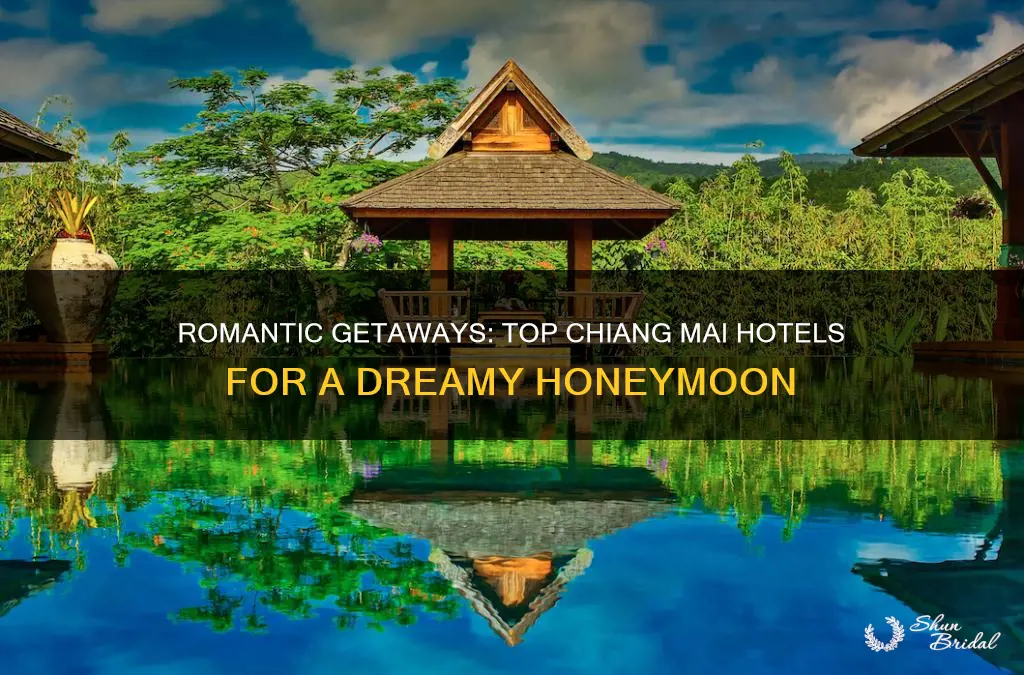 where to stay in chiang mai honeymoon