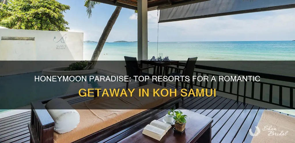 where to stay in koh samui for honeymoon