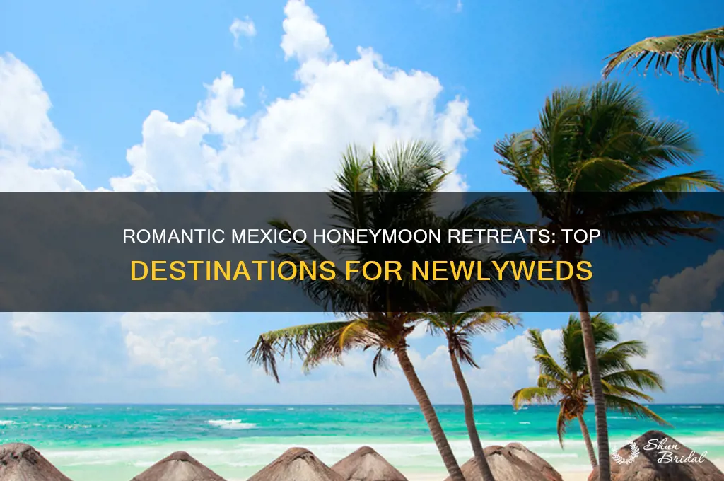 where to stay in mexico honeymoon