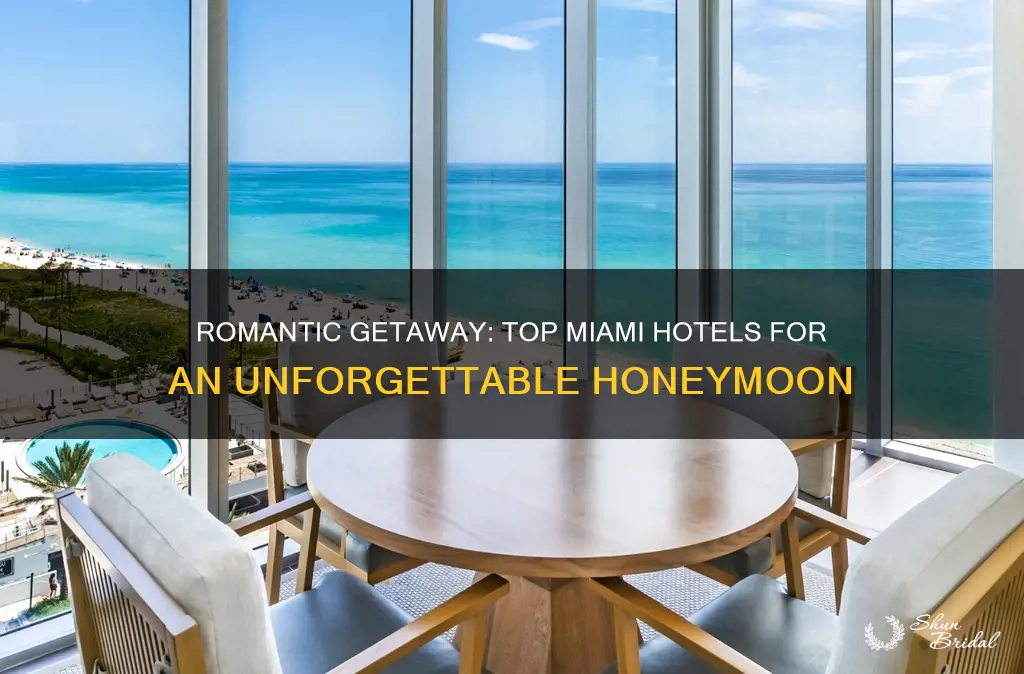 where to stay in miami honeymoon