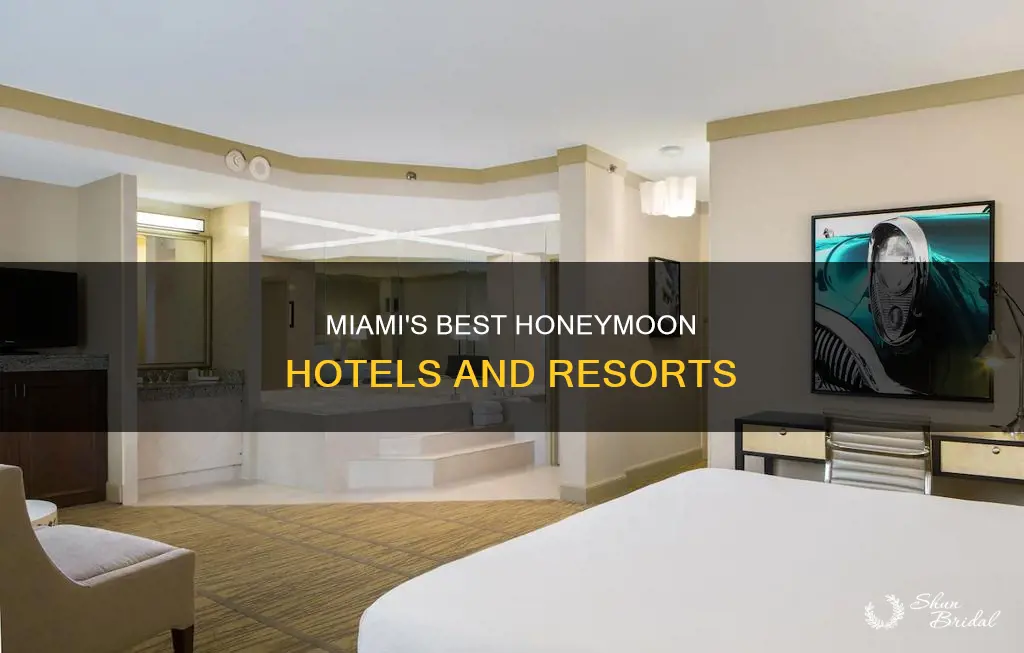 where to stay in miami honeymoon