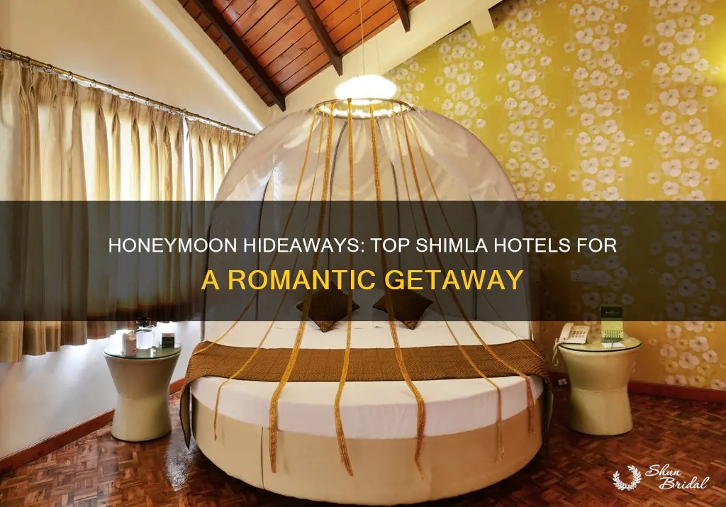 where to stay in shimla for honeymoon