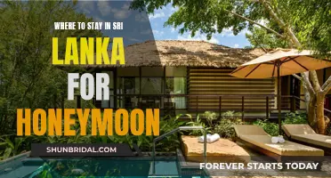 Honeymoon Hideaways: Top Sri Lanka Getaways for an Unforgettable Escape