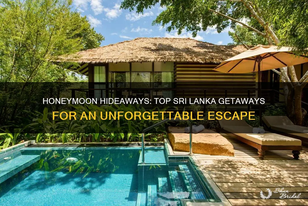 where to stay in sri lanka for honeymoon