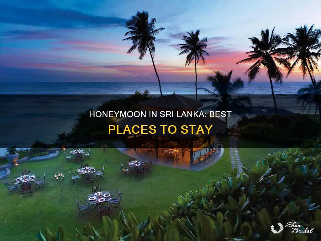where to stay in sri lanka for honeymoon