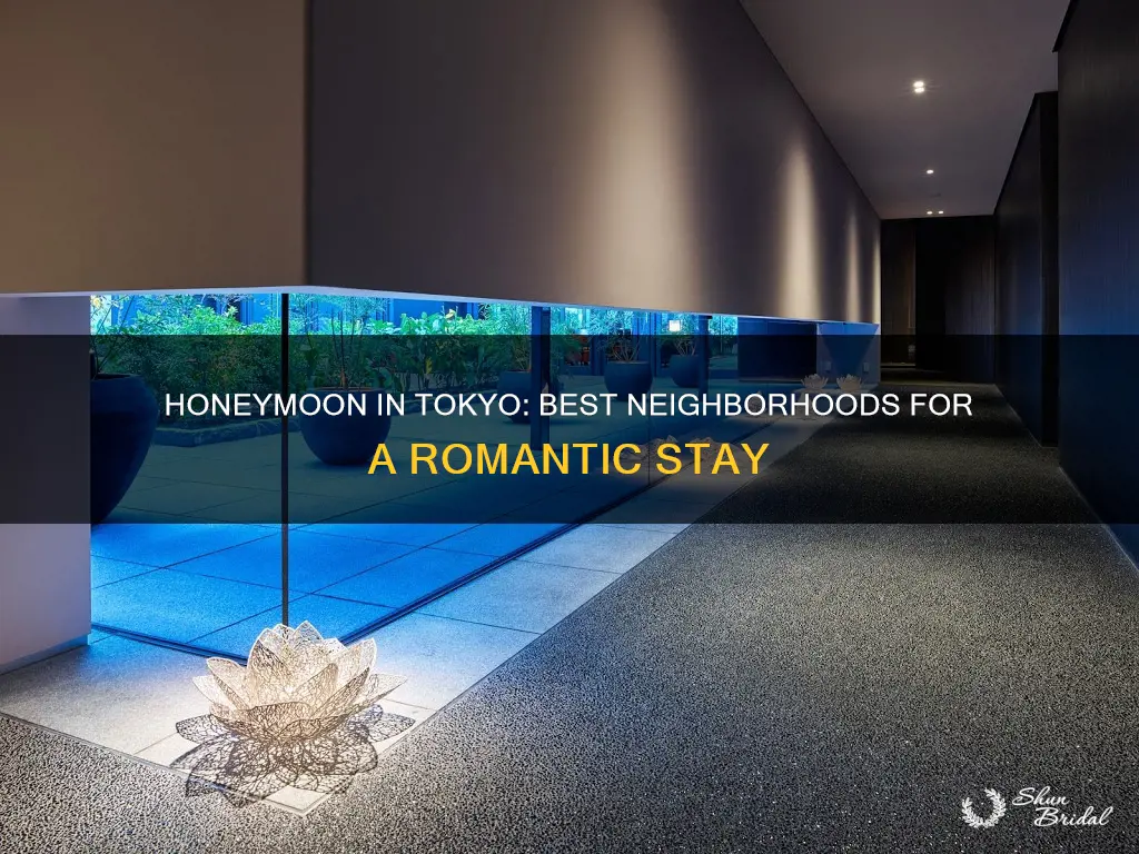 where to stay in tokyo honeymoon