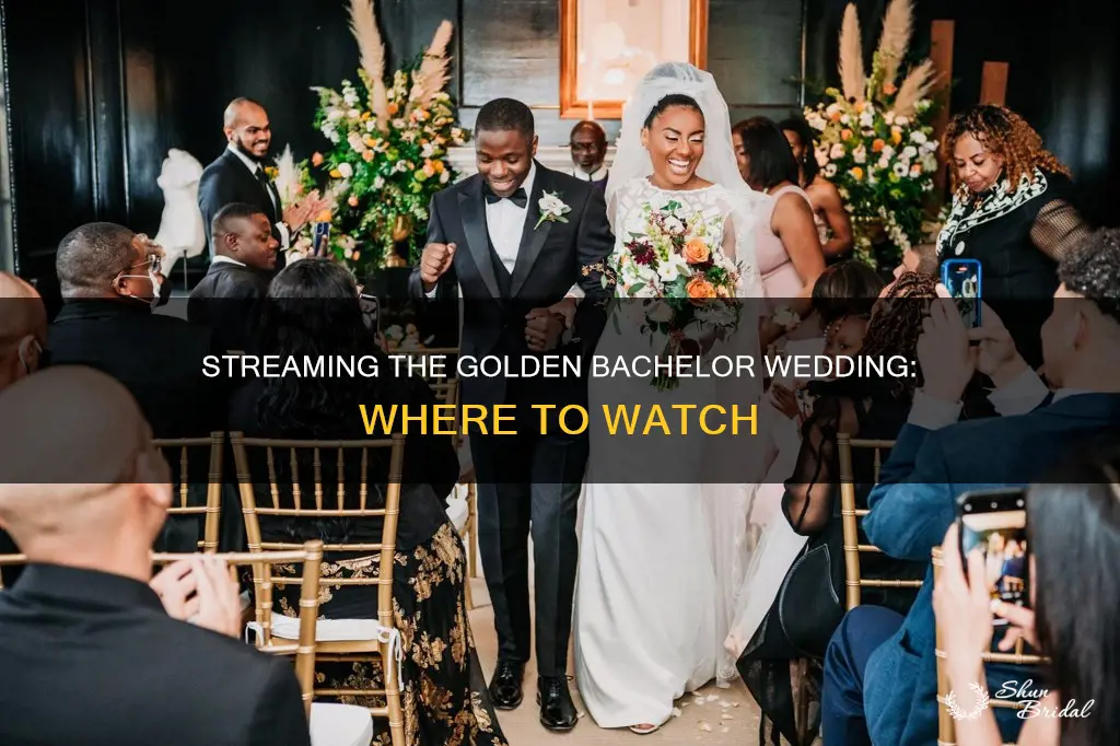 where to stream golden bachelor wedding