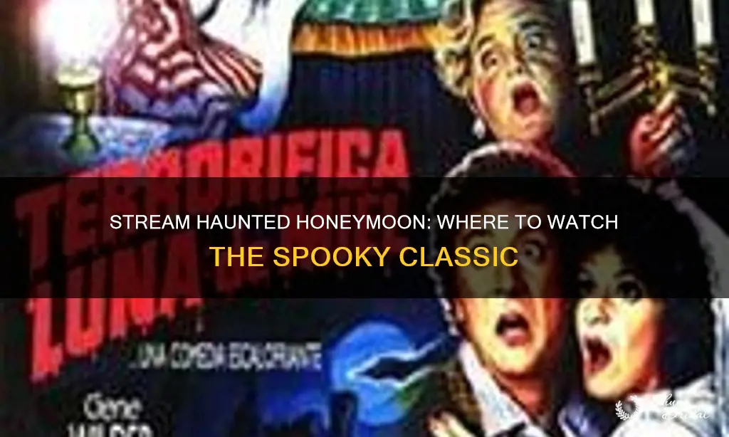 where to stream haunted honeymoon