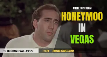 Streaming Guide: Honeymoon in Vegas