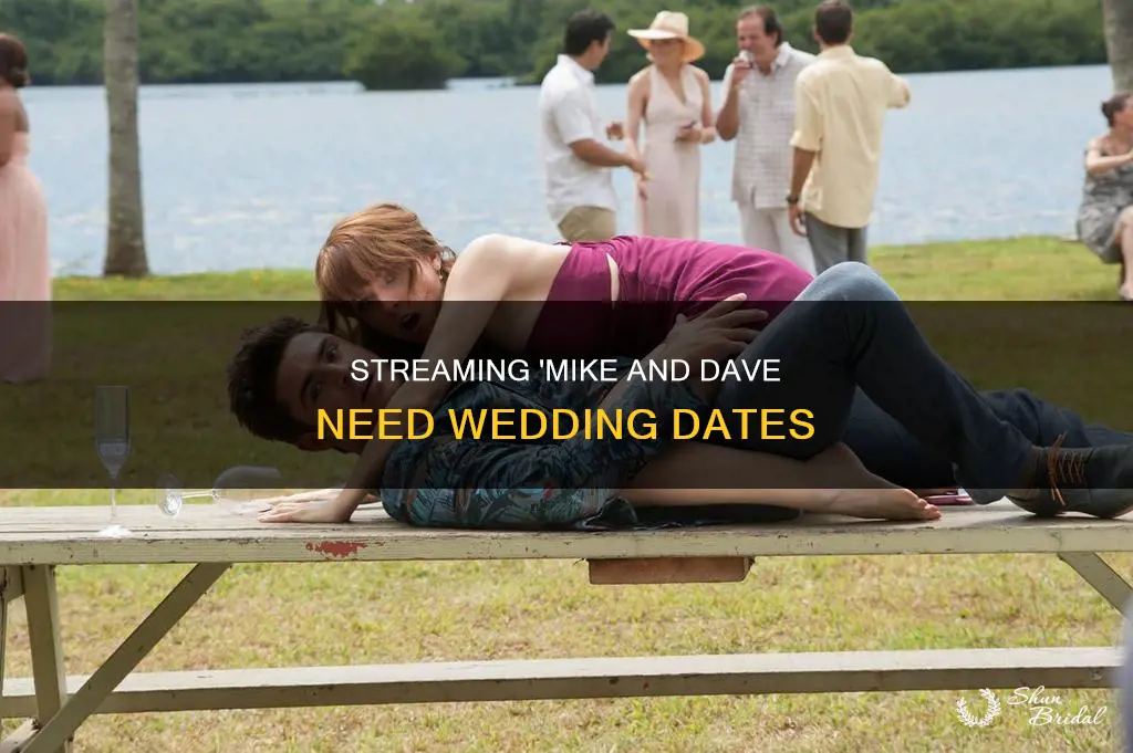 where to stream mike and dave need wedding dates