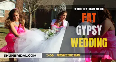 My Big Fat Gypsy Wedding: Streaming Options for the Popular Show