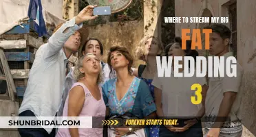 My Big Fat Wedding 3: Where to Stream the Feel-Good Rom-Com