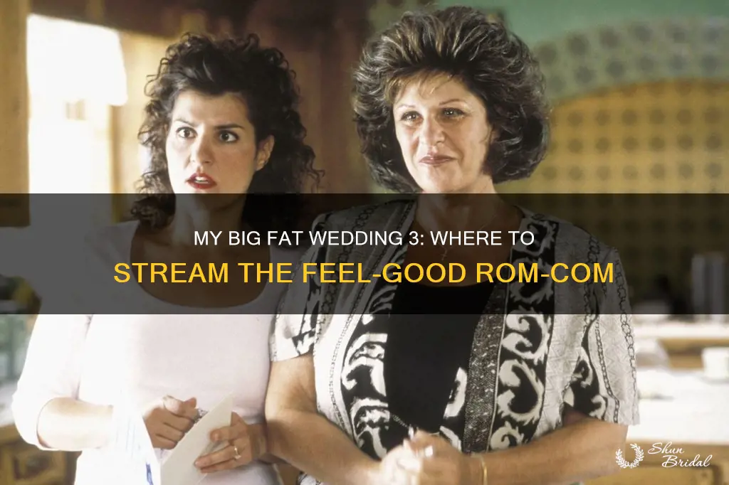 where to stream my big fat wedding 3