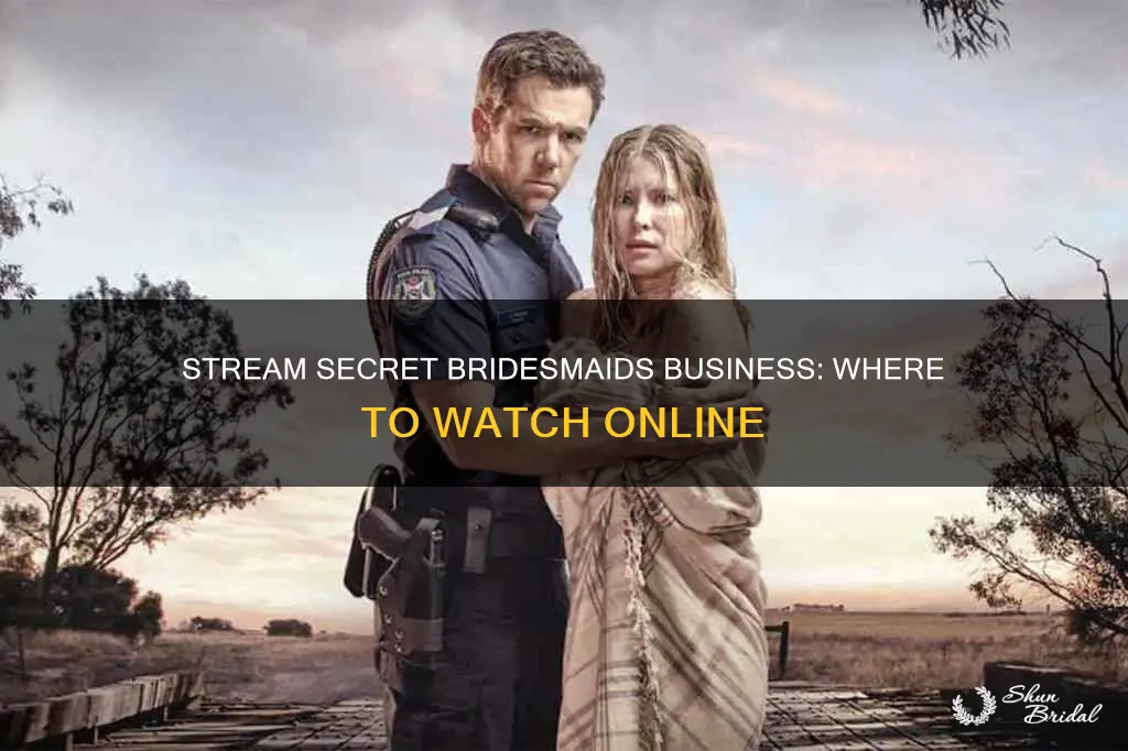 where to stream secret bridesmaids business