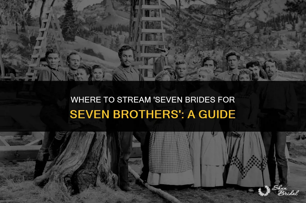 where to stream seven brides for seven brothers