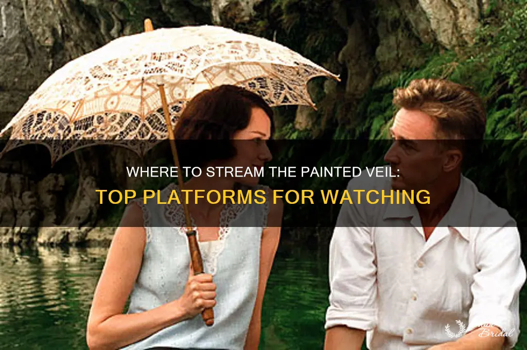 where to stream the painted veil