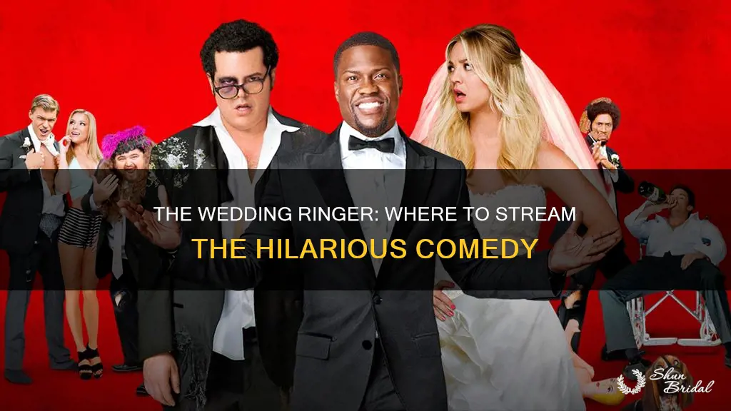 where to stream the wedding ringer