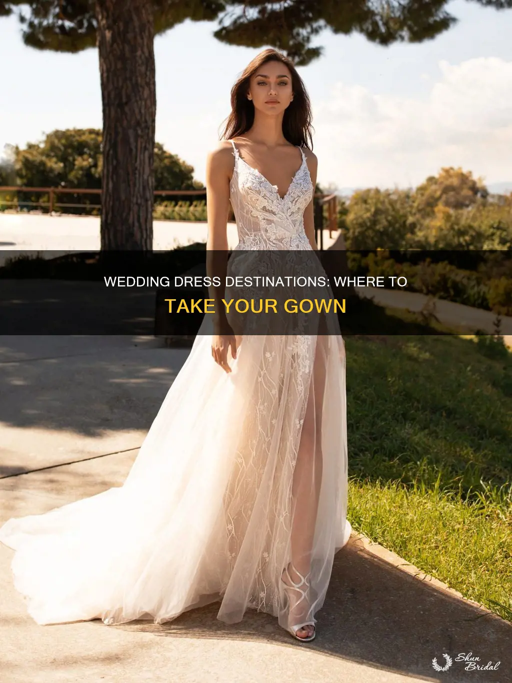 where to take my wedding dress