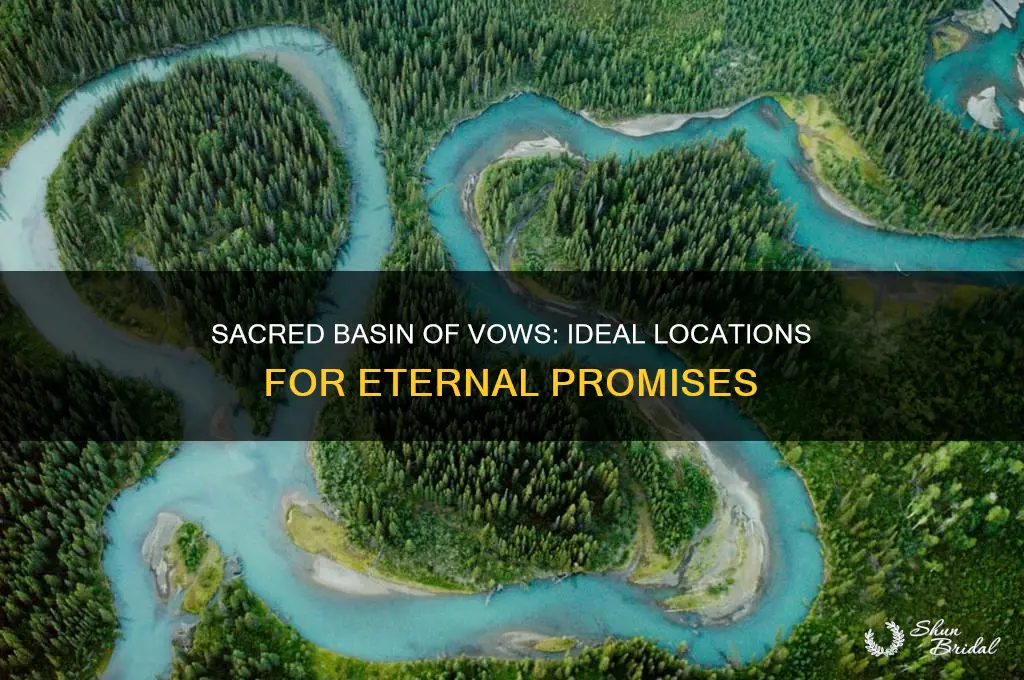 where to use basin of vows