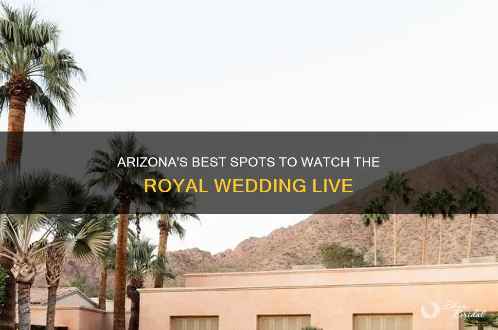 where to view the royal wedding in arizona