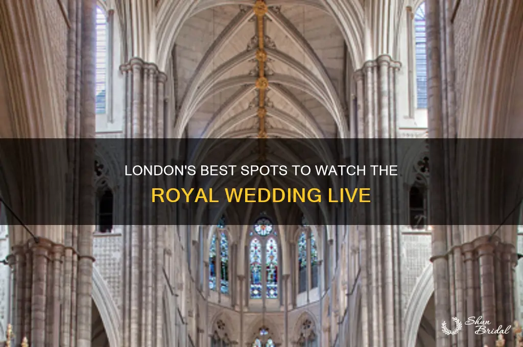 where to view the royal wedding in london