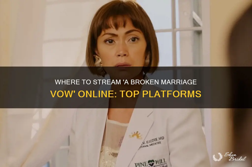where to watch a broken marriage vow